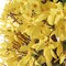 22" Sunny Yellow Forsythia Wreath with Grapevine Ring, Floral Home by Artificial Flowers